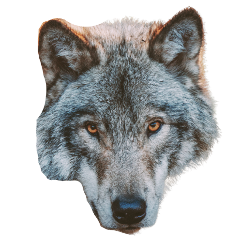moonwolf logo